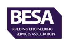 BESA 300